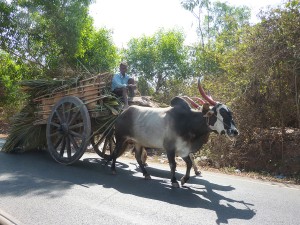 Rural India: photo JS