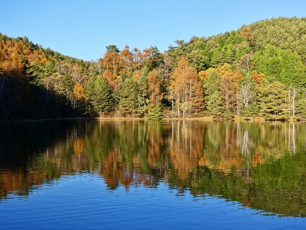 Autumn lake: photo JS